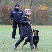 ZTP ADRK BG Westheim December 1st. 2019
Photos by Sonja Stumpf-Gönnheimer