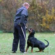ZTP ADRK BG Westheim December 1st. 2019
Photos by Sonja Stumpf-Gönnheimer