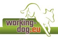 Working dog